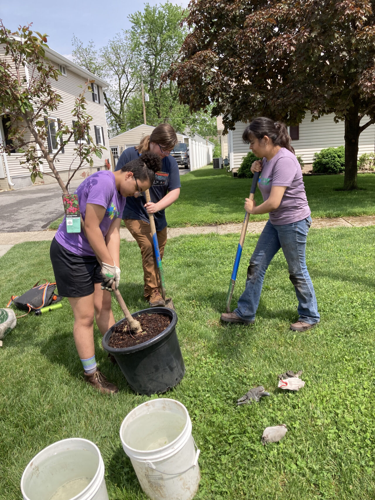 Photos from the planting in West Des Moines of the Growing Futures crew. Larry Nelson