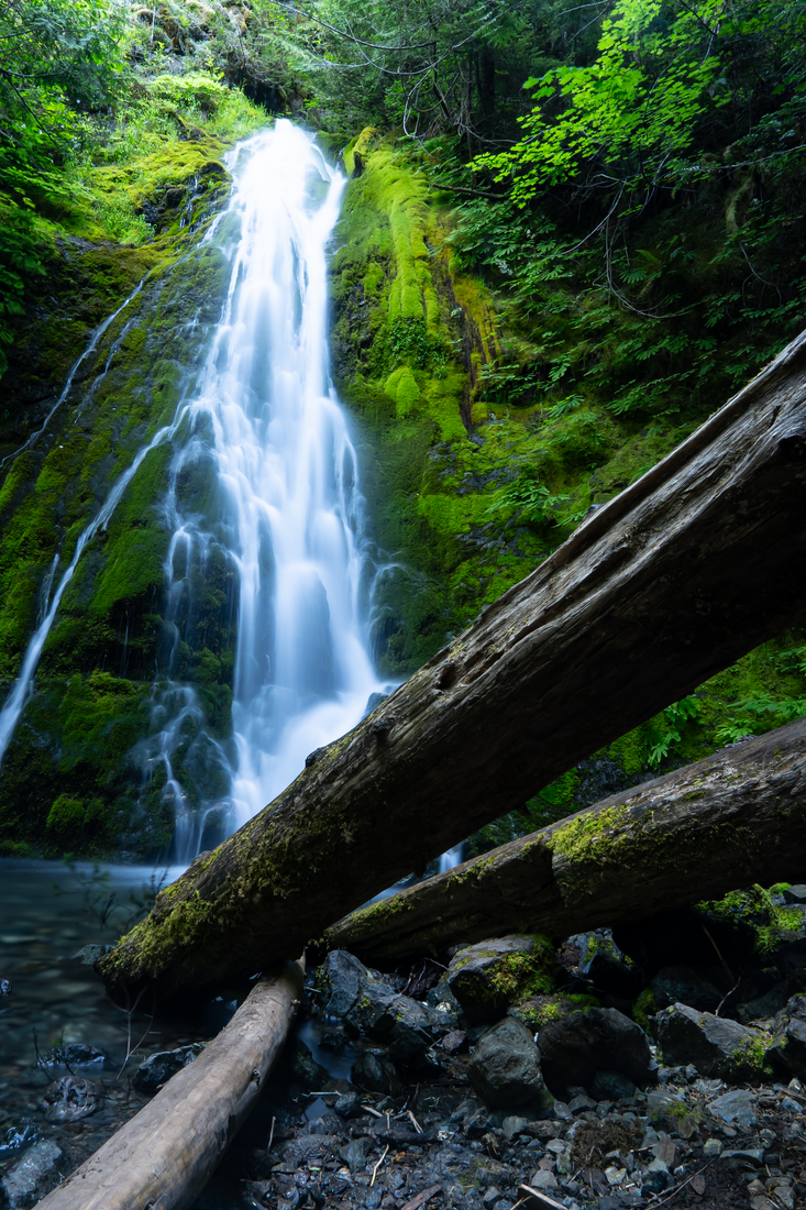 Aspiring Photographer - Forest Landscapes - This photo of Madison Falls in the Olympic National Park was taken in June of 2023. It was my first time in Washington. The forest lands throughout the area are beautiful and magical. CREATOR Lawson Morgan - I am a high school student from Oklahoma who has taken art and photography classes for the last several years.